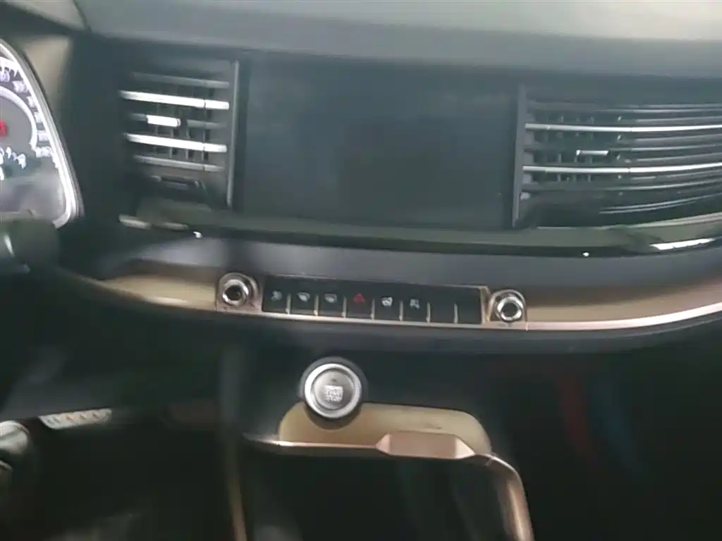 Haval H6 2020 1.5GDIT Automatic Platinum Champion Edition фото 13