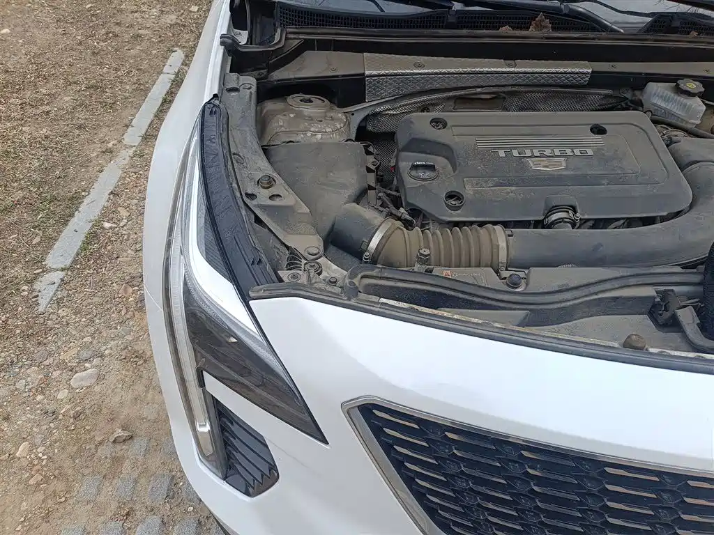 Cadillac XT4 2020 28T FWD Leading Trim фото 29