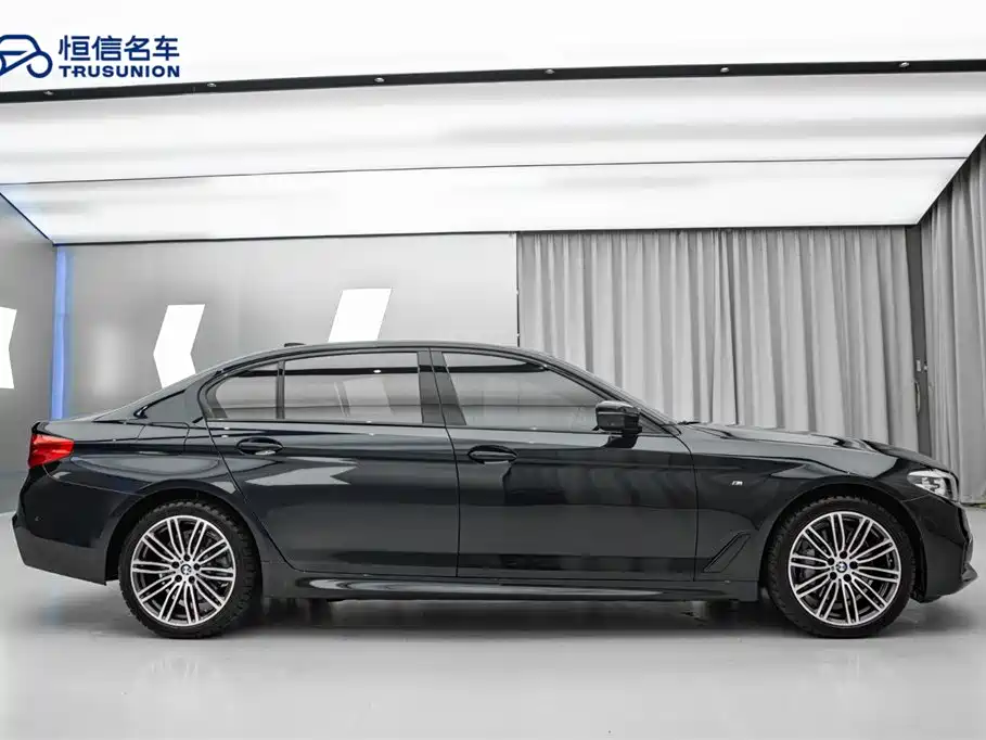 BMW 5 Series 2019 530Li xDrive M Sport Package фото 8