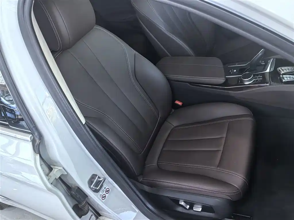 BMW 5 Series 2019 525Li Luxury Package фото 5