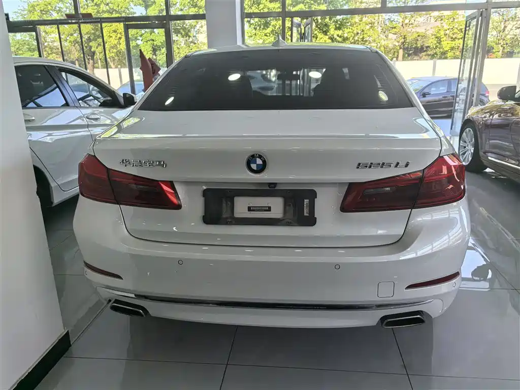 BMW 5 Series 2019 525Li Luxury Package фото 10