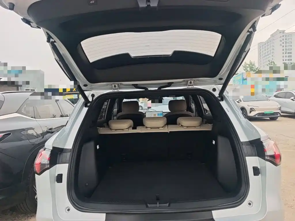 Wuling Motors Wuling Xingguang S 2024 2024 510km Flagship Model