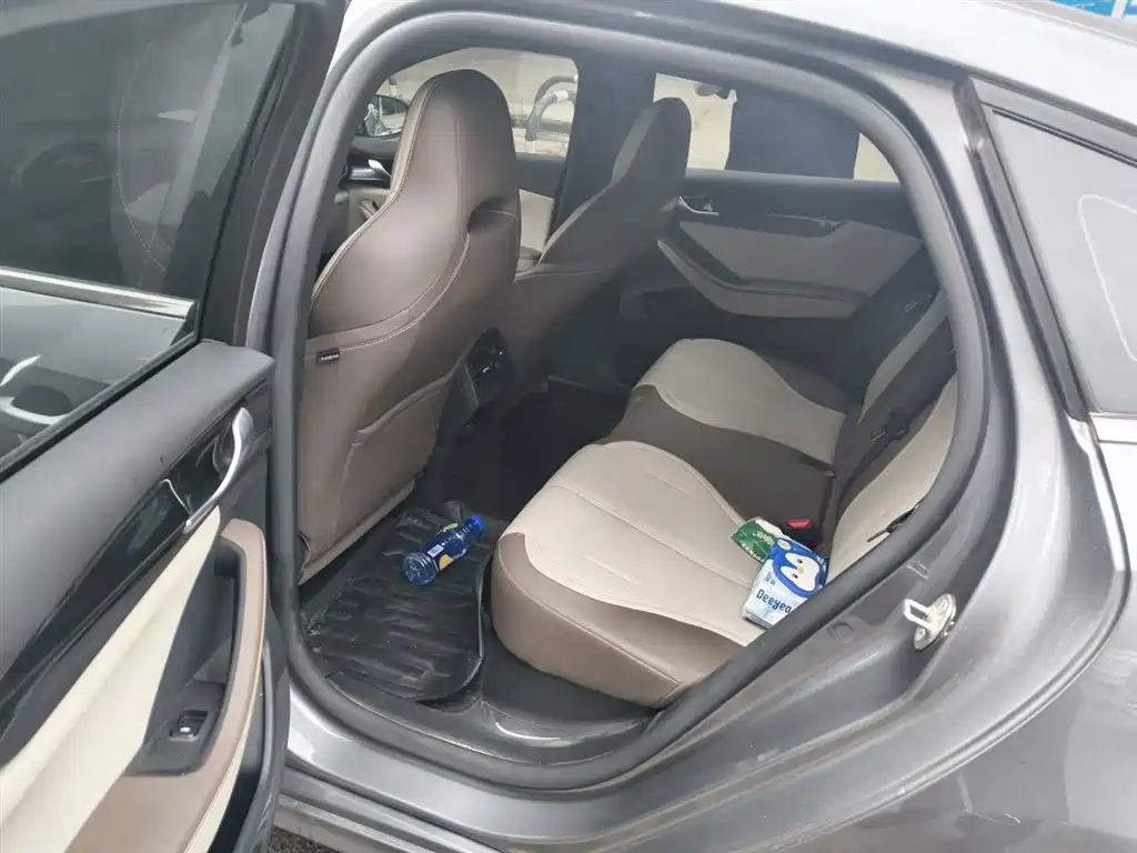 BYD Qin PLUS 2023 Champion Edition DM-i 55KM Leading фото 13