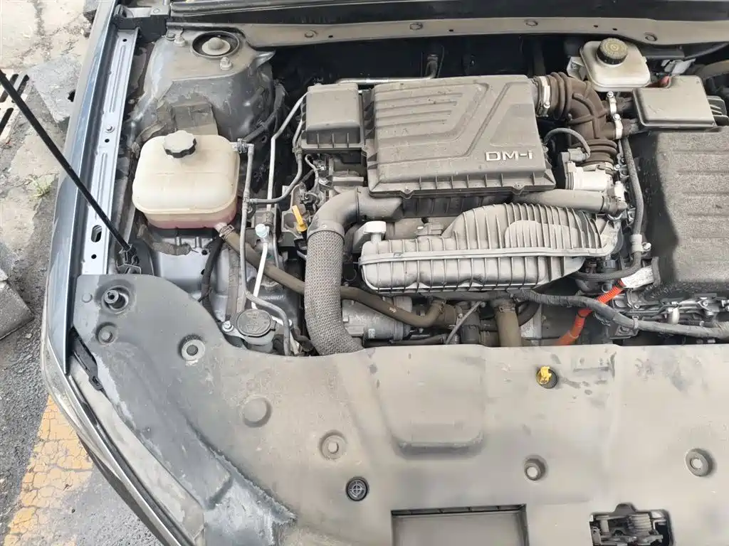 BYD Qin PLUS 2023 Champion Edition DM-i 55KM Leading фото 22