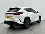 Фото 6 - Lexus NX