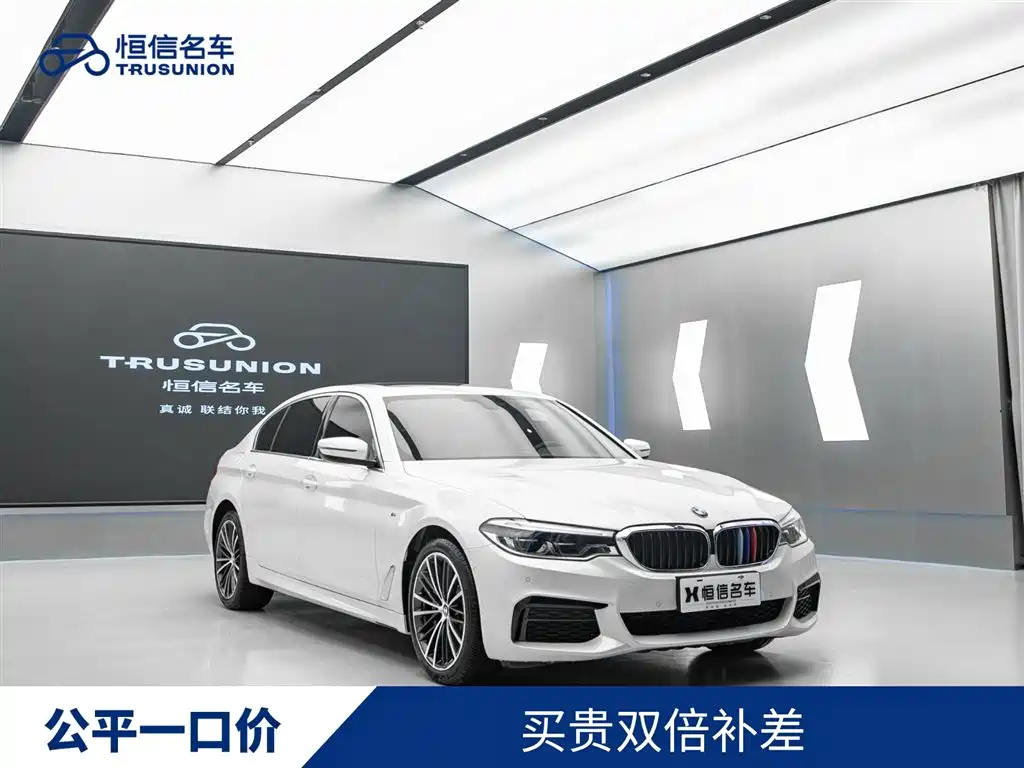 BMW 5 Series 2020 530Li Leading M Sport Package