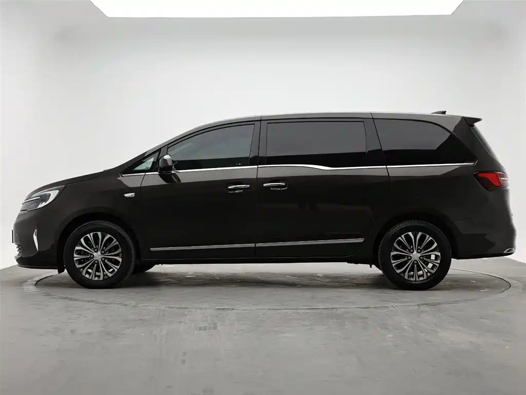 Buick GL8 2021 Land Business Class 652T Luxury фото 6