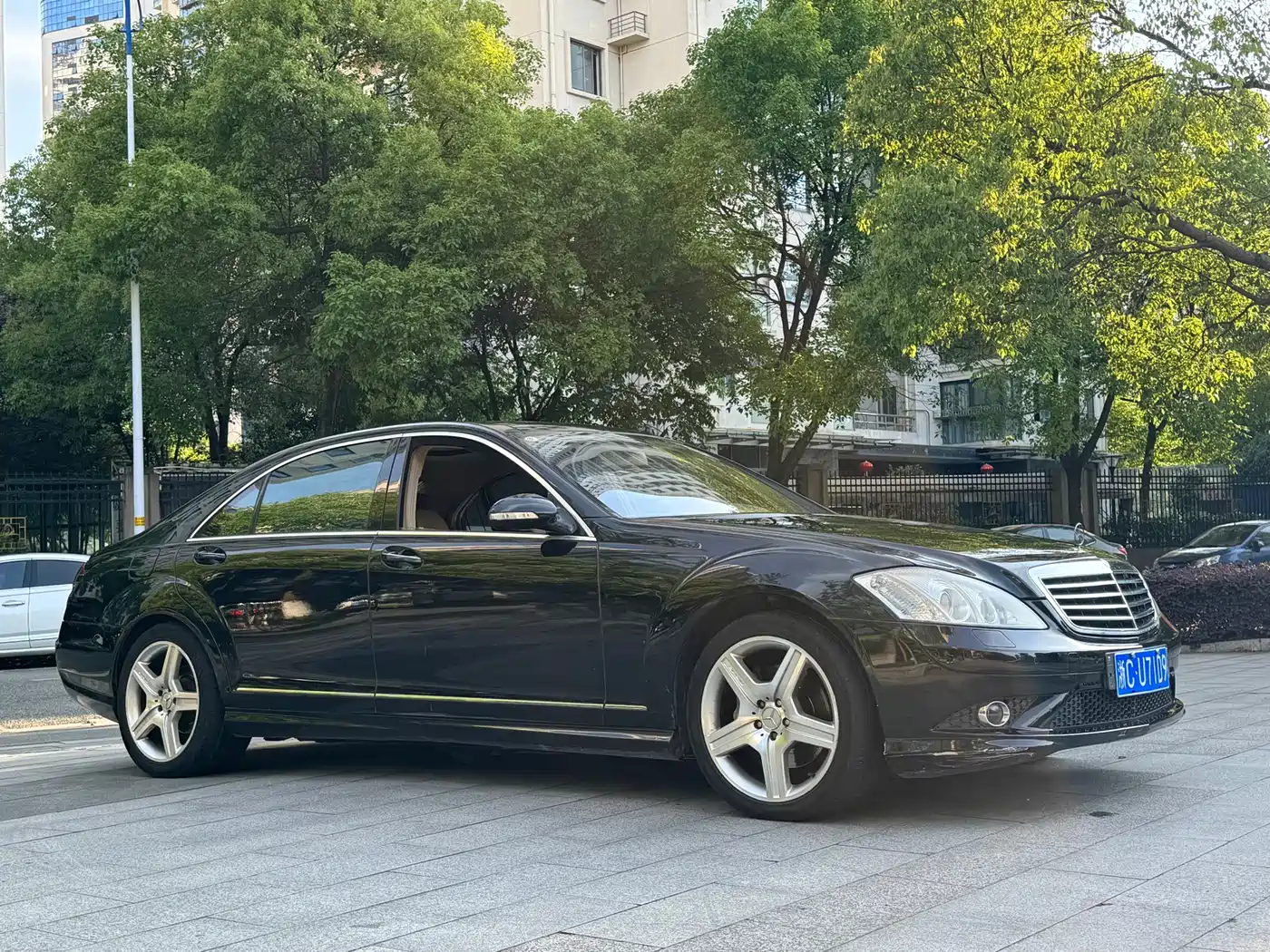 Mercedes-Benz S-Class 2010 S 350 L Luxury фото 4