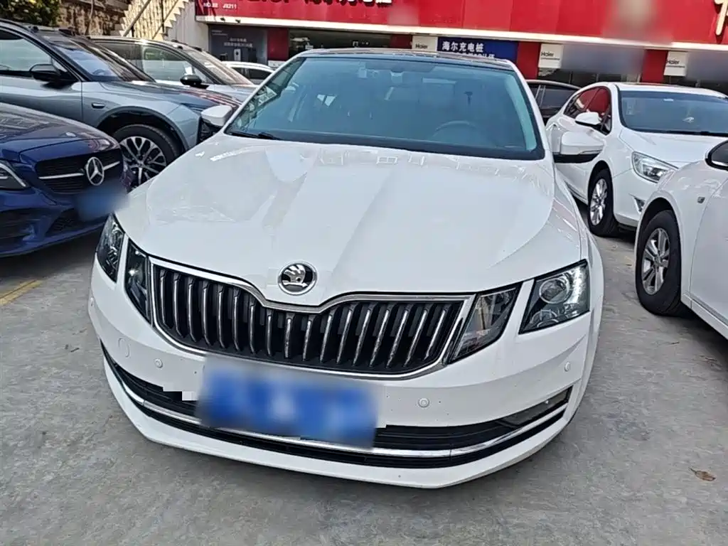 Škoda Octavia 2018 TSI230 DSG Luxury Edition фото 3