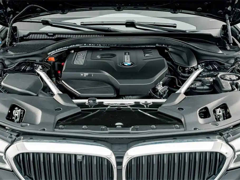 BMW 5 Series 2020 530Li Leading M Sport Package фото 24