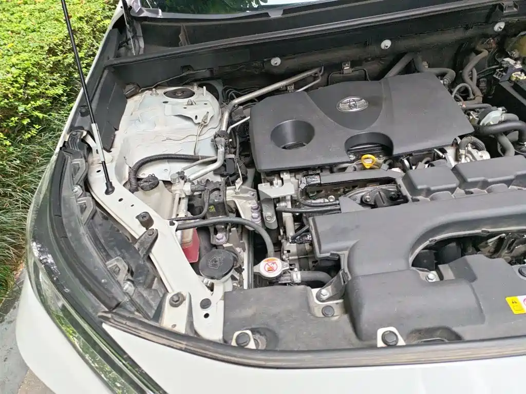 Toyota RAV4 Rongfang 2020 2.0L CVT AWD Trend Edition фото 22