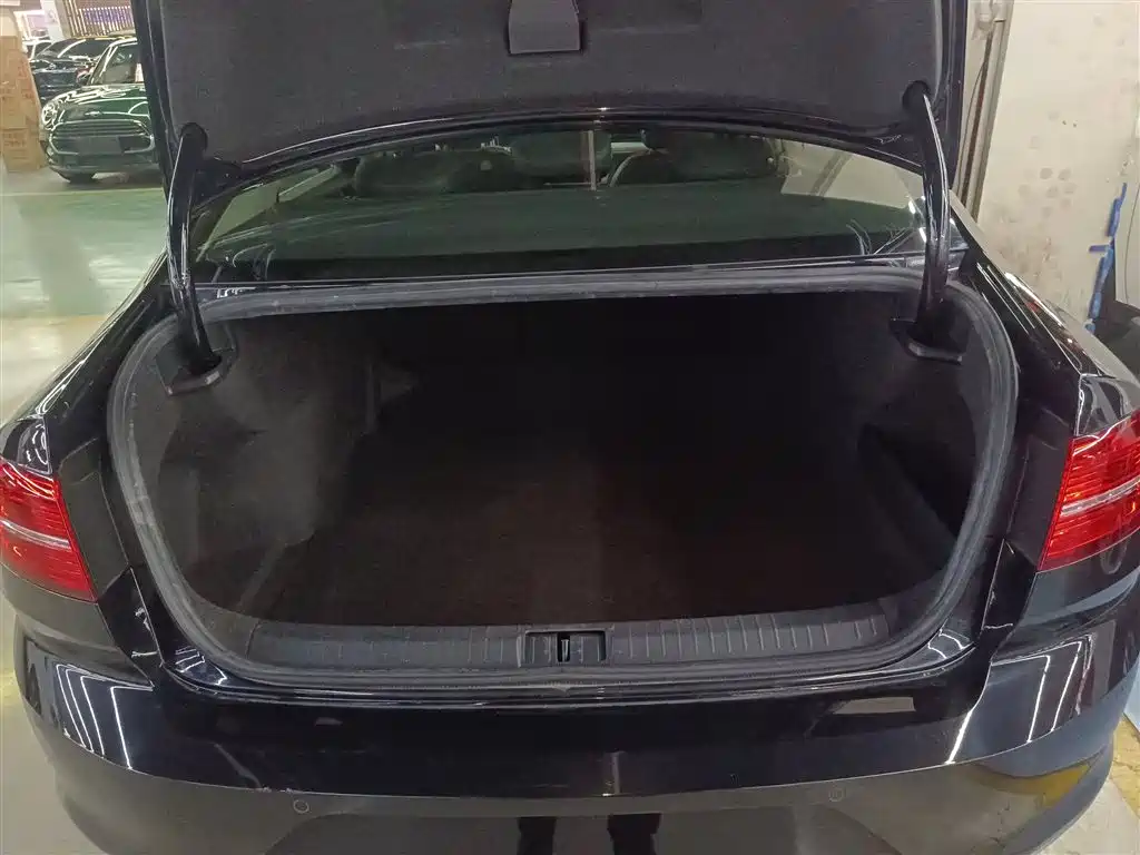 Volkswagen Magotan 2019 280TSI DSG Comfort China VI фото 15
