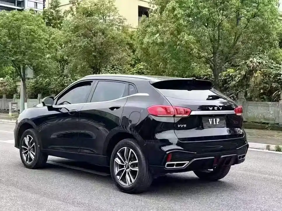 WEI PAI WEI BRAND VV5