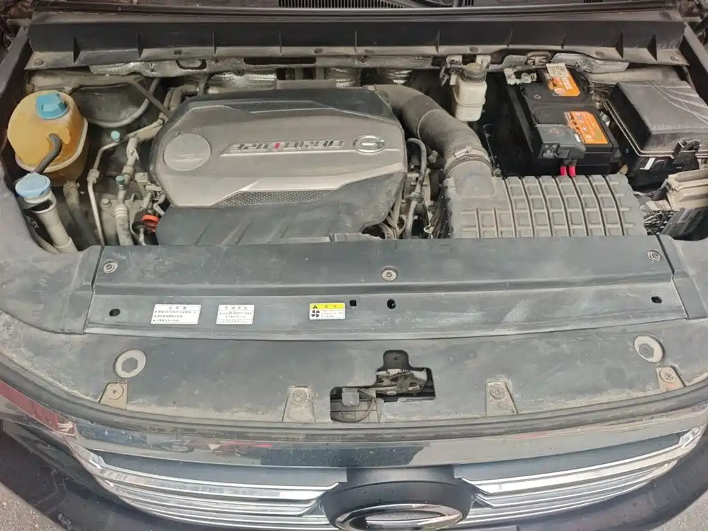 GAC Trumpchi Trumpchi GS8 2017 320T 2WD Luxury Smart Connect (7-seater) фото 16