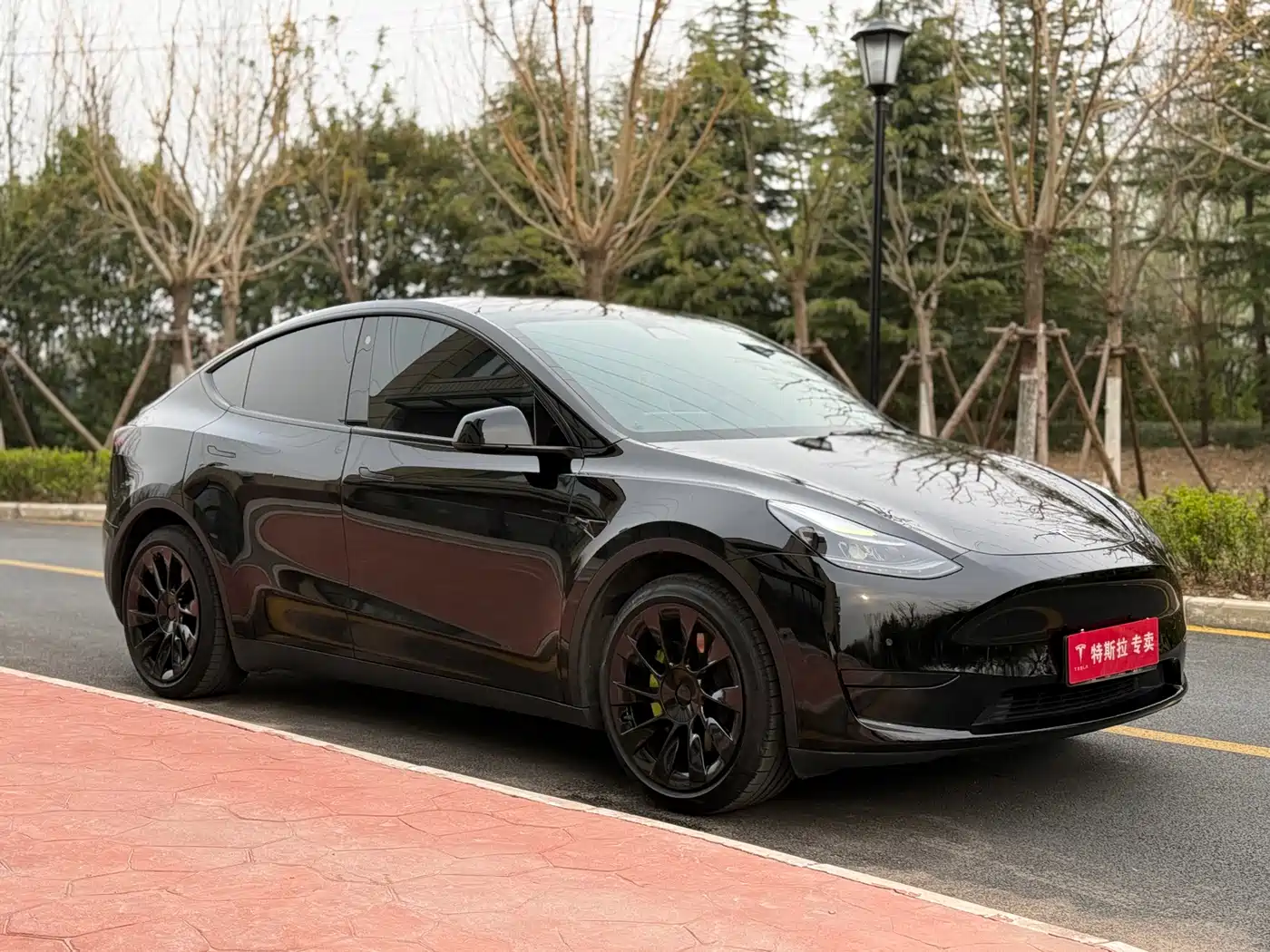 TESLA MODEL Y
