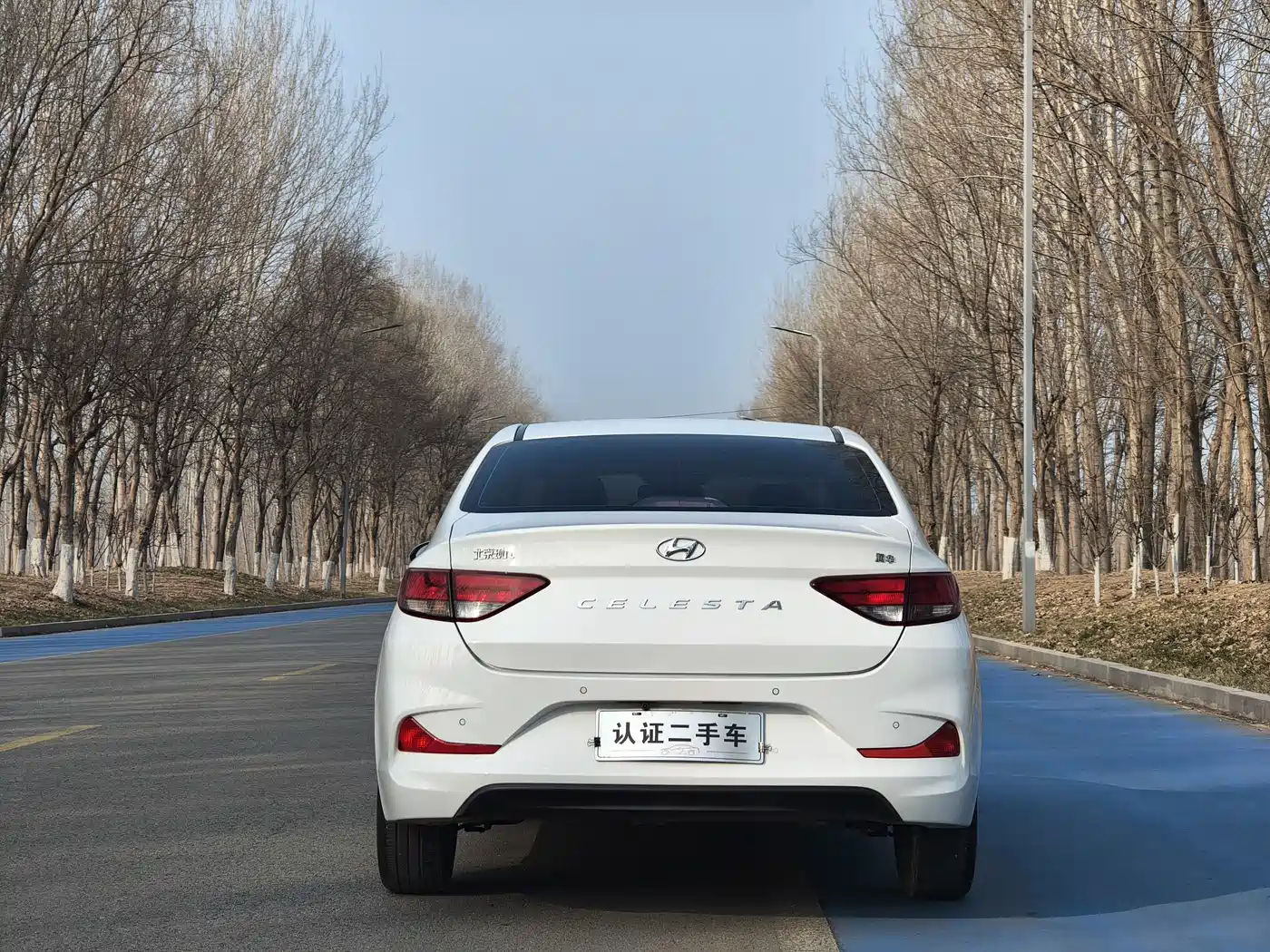 HYUNDAI YUEDONG