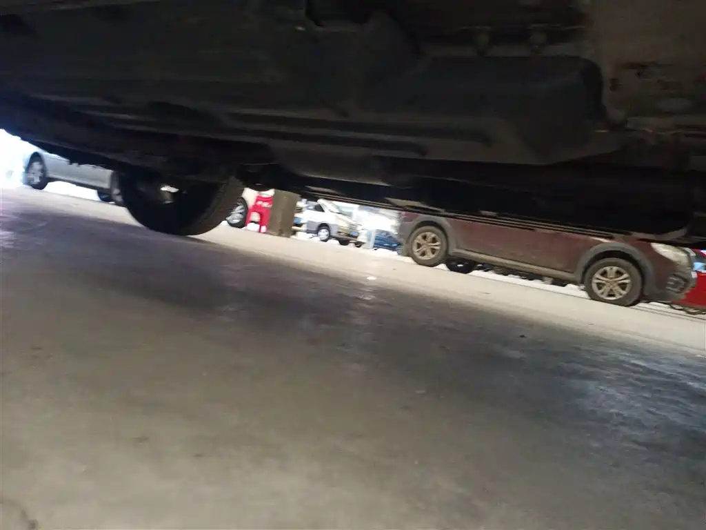 Haval Big Dog 2022 1.5T DCT FWD Border Collie Edition фото 21