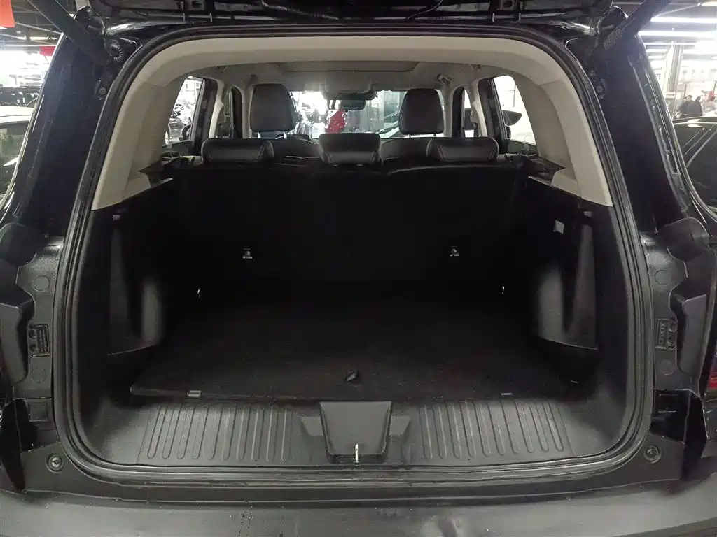 Haval Big Dog 2024 1.5T DCT Border Collie Edition фото 15
