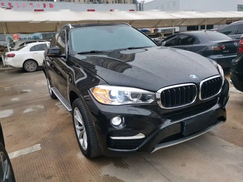 BMW X6 2015 xDrive35i Leading Type фото 22