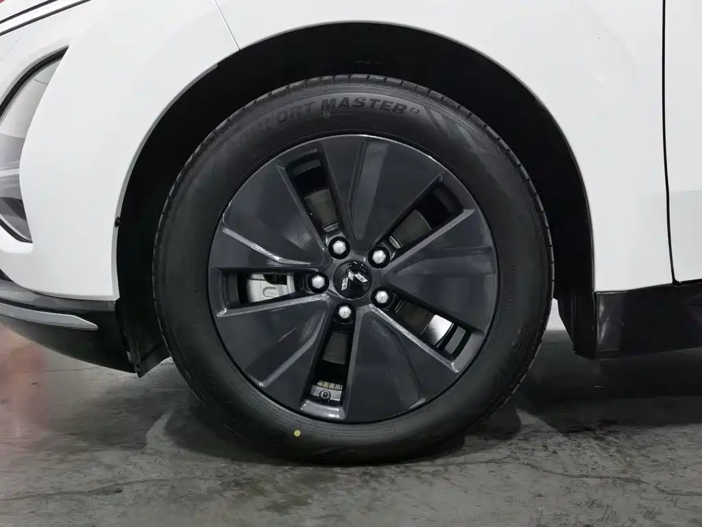 Wuling Motors Wuling Xingguang 2024 2024 Co-Creation Edition 70 Standard