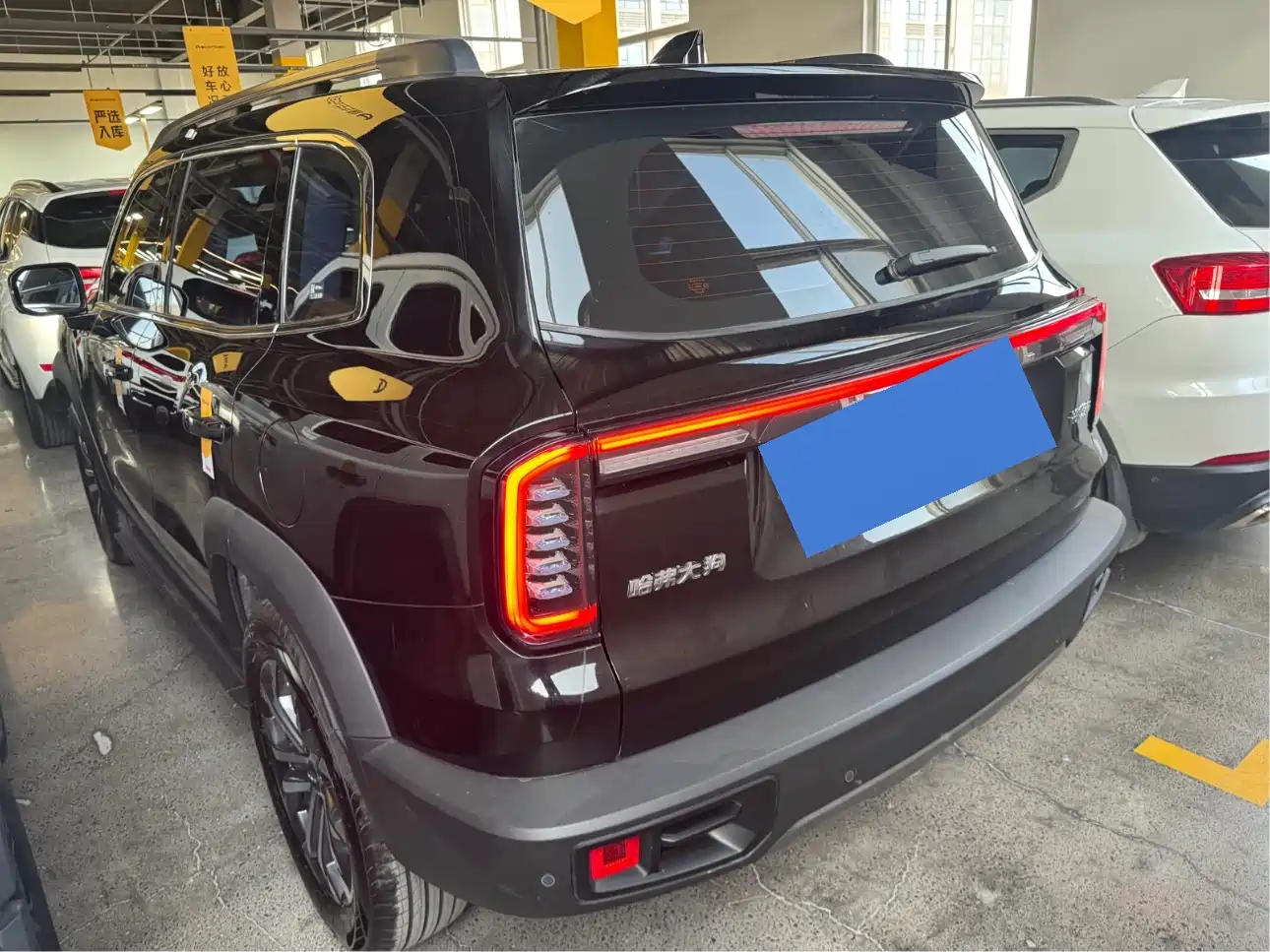Haval Big Dog 2024 1.5T DCT Border Collie Edition фото 5