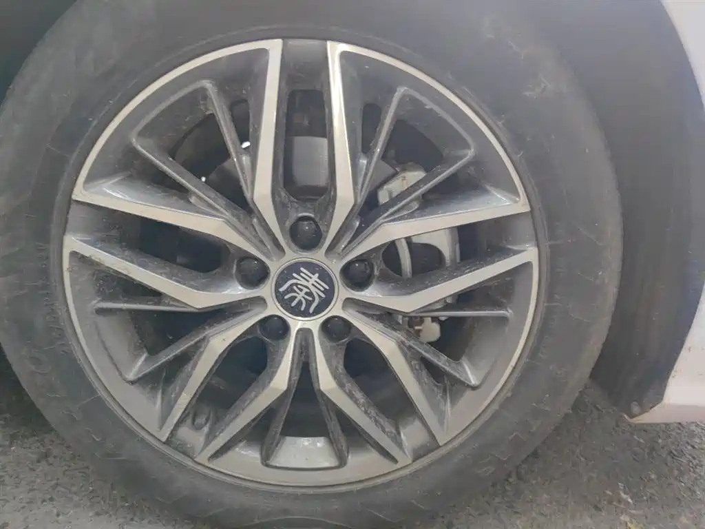 BYD Qin PLUS 2021 DM-i 55KM Flagship фото 8
