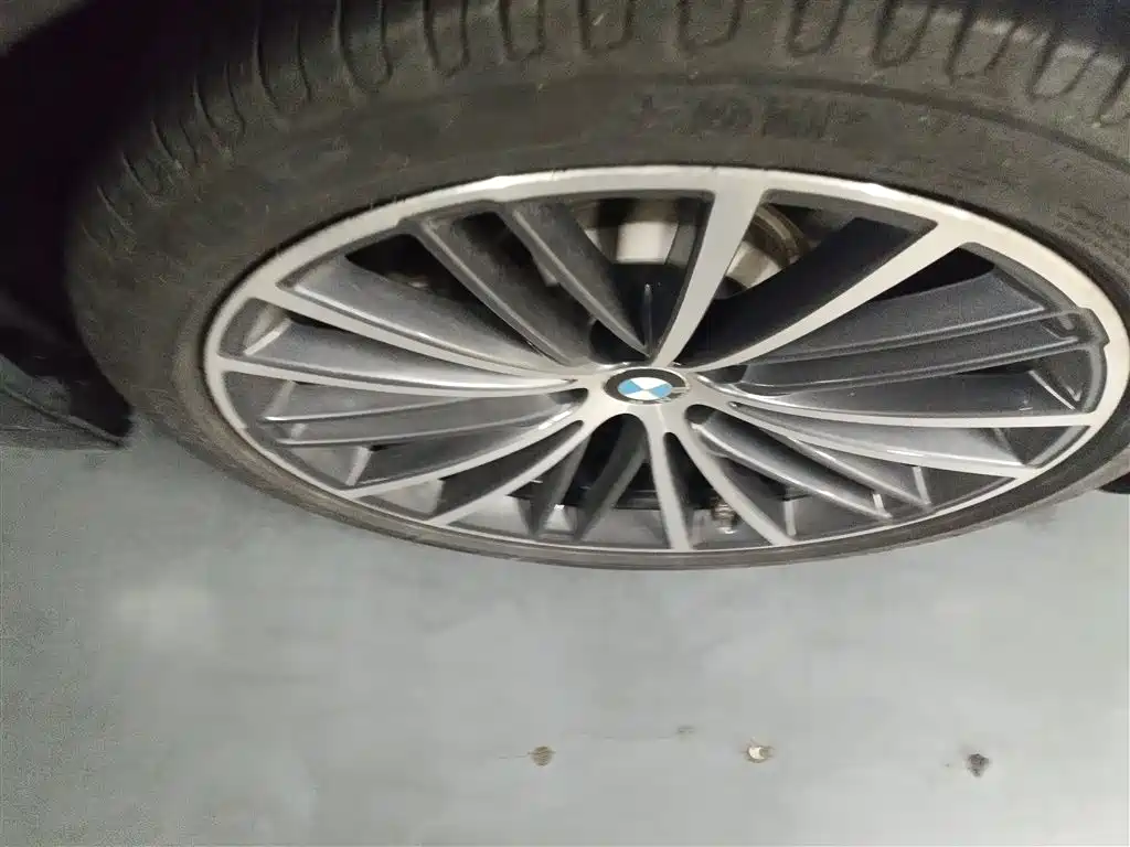 BMW 5 Series 2020 530Li Leading M Sport Package фото 8