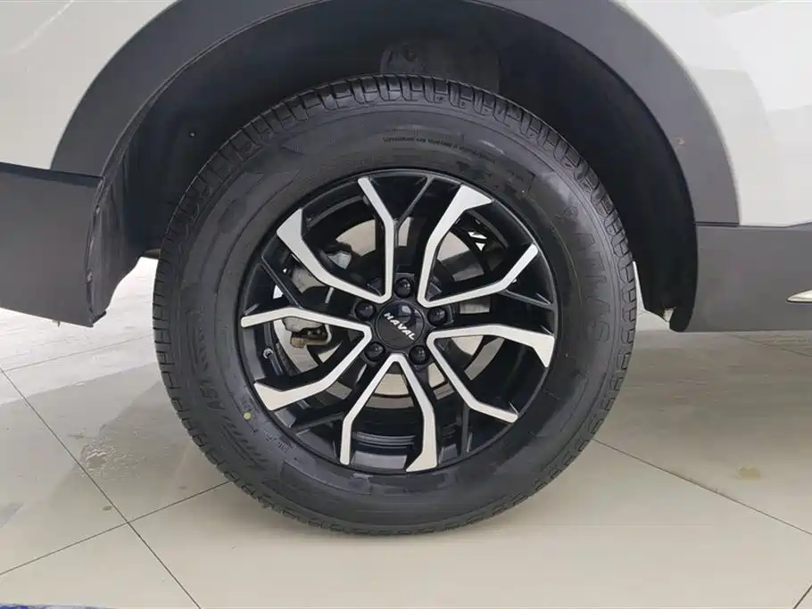 Haval H6 2023 National Trend Edition 1.5T Automatic Urban фото 6