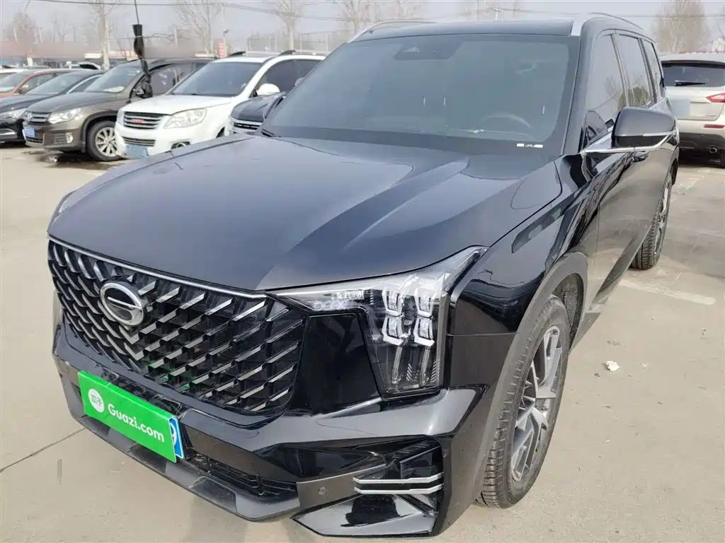 GAC Trumpchi Trumpchi GS8 2022 Pilot Series 2.0TGDI 2WD Luxury Smart Connect Edition (7-Seater) фото 2