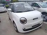 Фото 4 - Changan Lumin