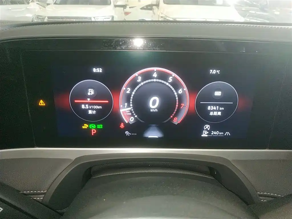 Volkswagen Magotan 2024 300TSI DSG Premium Edition (Eye-catching Package) фото 12