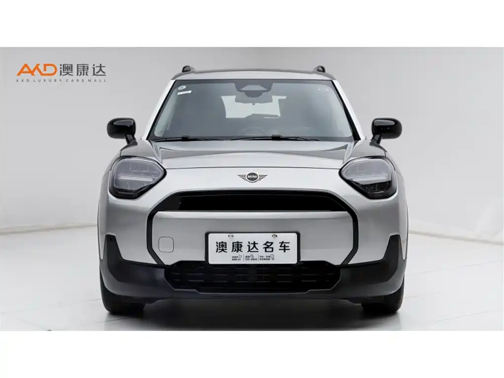 MINI ELECTRIC  ACEMAN