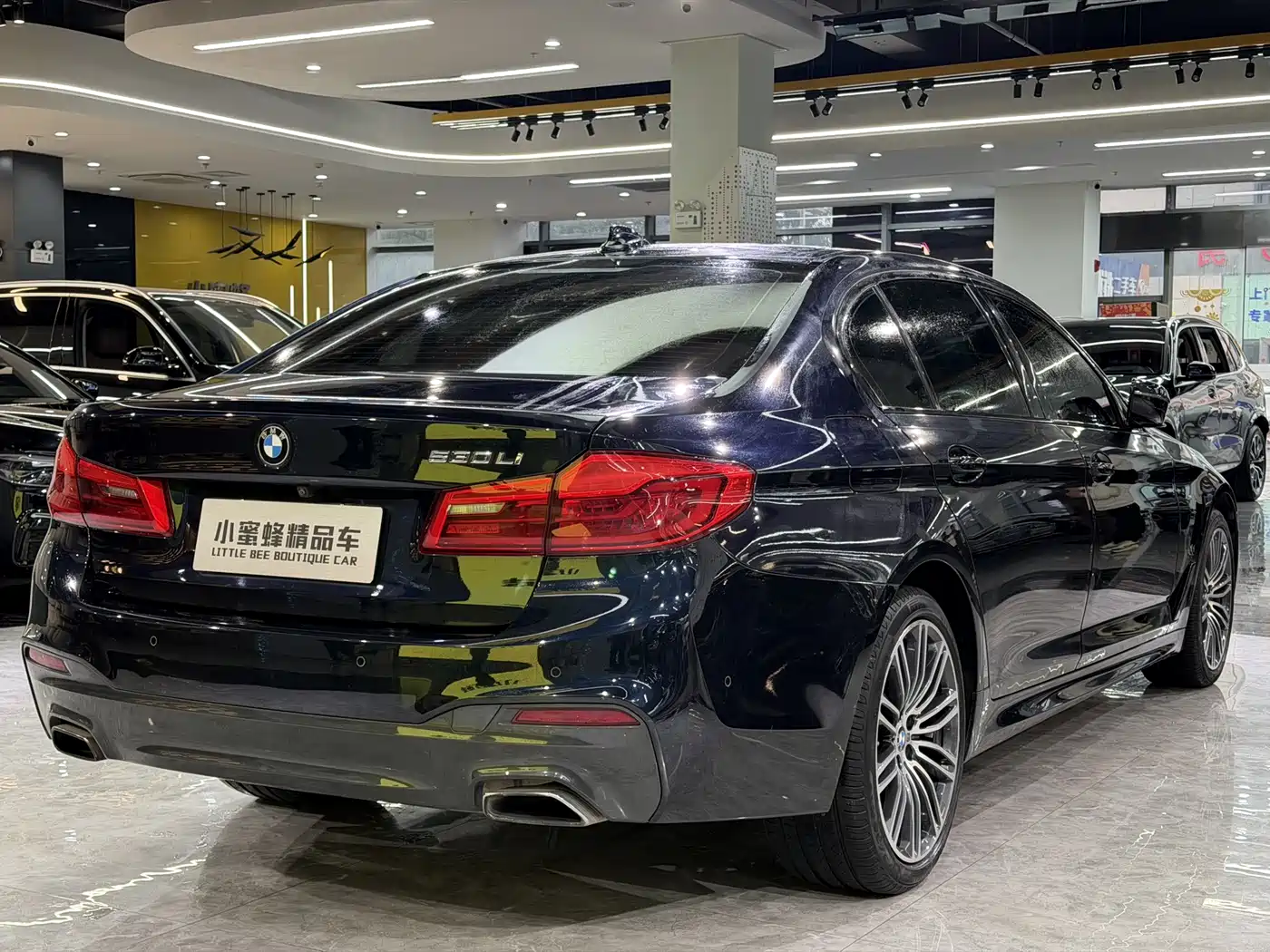 BMW 5 Series 2019 530Li Leading M Sport Package фото 14
