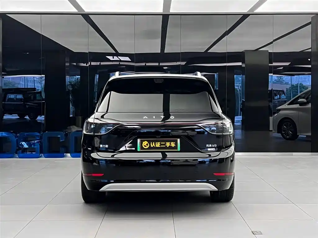 AITO Wenjie AITO M9 2025 Extended Range Max 52kWh 6-Seater фото 5