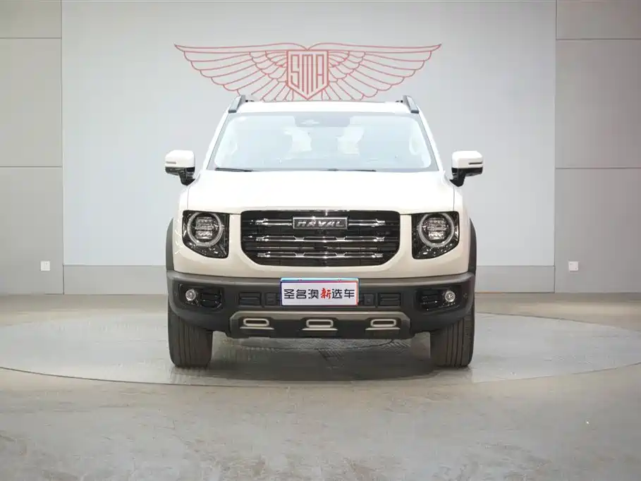 HAVAL BIG DOG