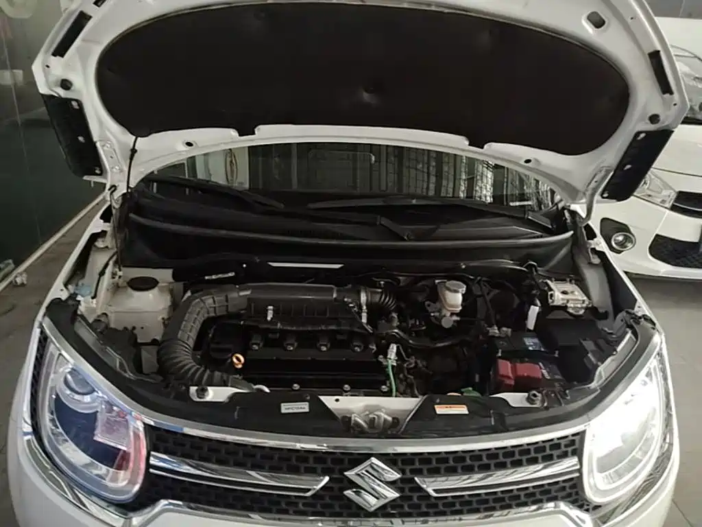 Suzuki Ignis 2019 2017 1.2L CVT Luxury Edition
