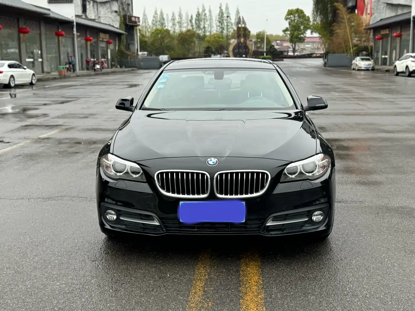 BMW 5 Series 2014 525Li Leading фото 2