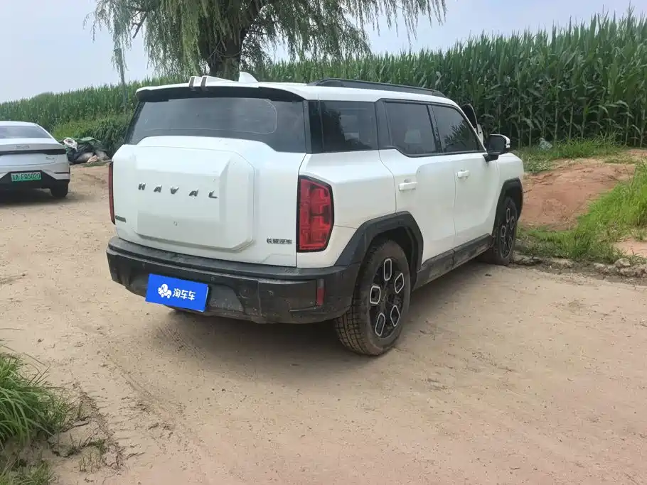 Haval Cool Dog 2023 2022 1.5T DCT 2WD Trend Edition