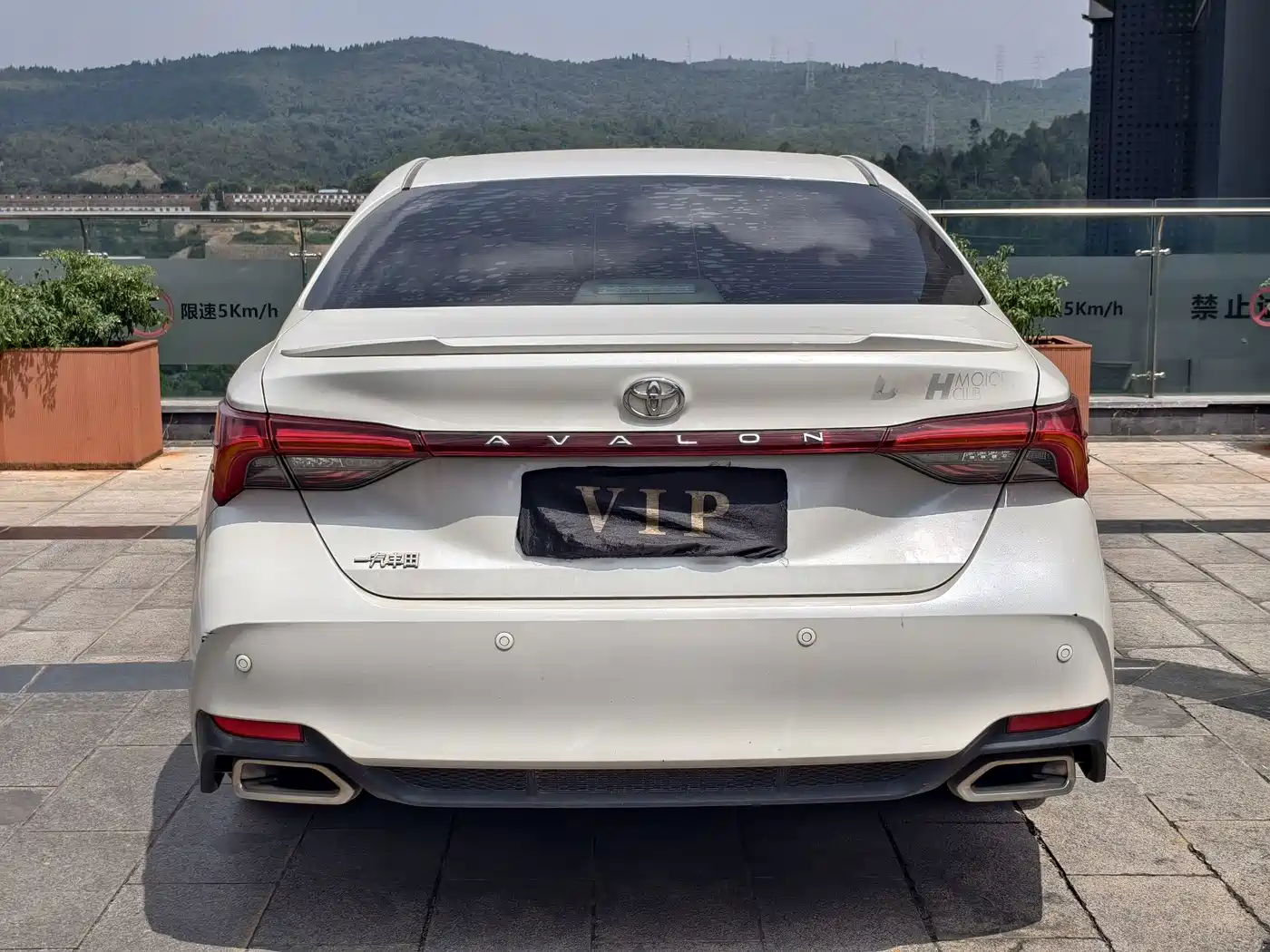 Toyota Avalon 2019 2019 2.5L Progressive Edition China V