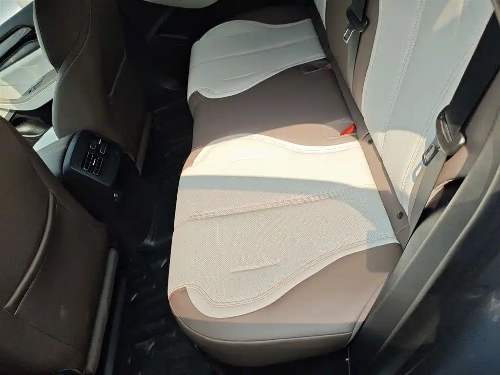 BYD Qin PLUS 2024 Glory Edition DM-i 55KM Leading фото 13
