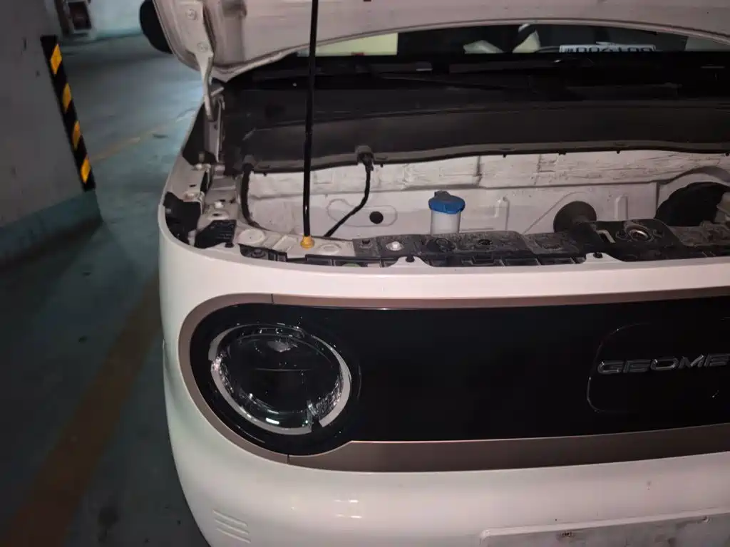 Geely Galaxy Panda 2023 2023 Panda Mini 200km Endurance Bear