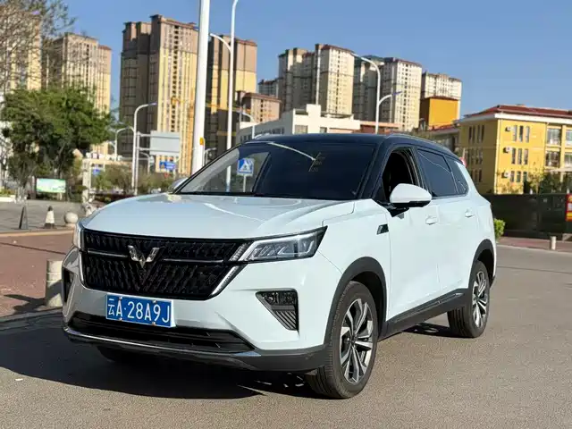 wuling-automobile wuling-xingchen