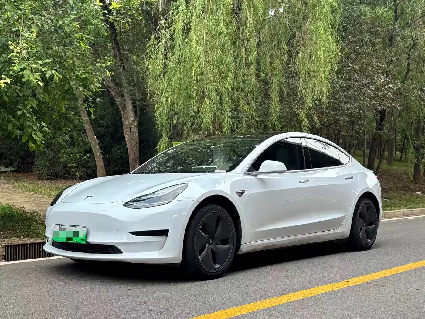  Tesla Model 3 2020 Standard Range Rear-Wheel Drive Upgrade