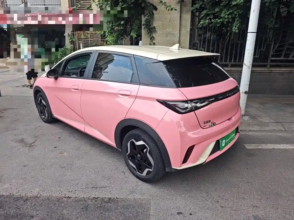 BYD Dolphin 2021 2021 405km Freedom Edition