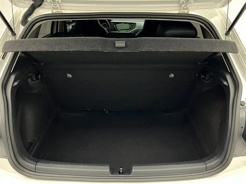 Volkswagen Polo 2021 Plus 1.5L Automatic Panorama Enjoyment Edition фото 11