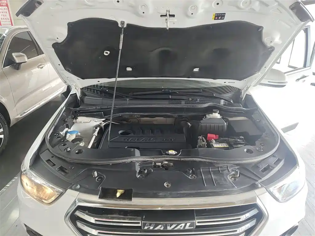 Haval H6 2019 Sport 1.5T Automatic 2WD Elite (China VI) фото 16