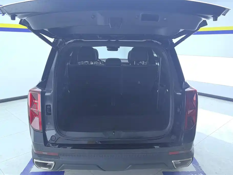 GAC Trumpchi Trumpchi GS8 2022 Pilot Series 2.0TGDI 2WD Premium Edition (7-Seater) фото 4
