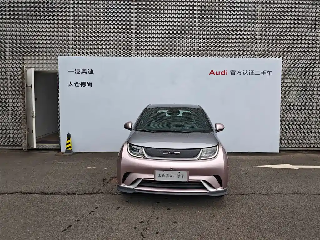 BYD Dolphin 2021 401km Knight Edition