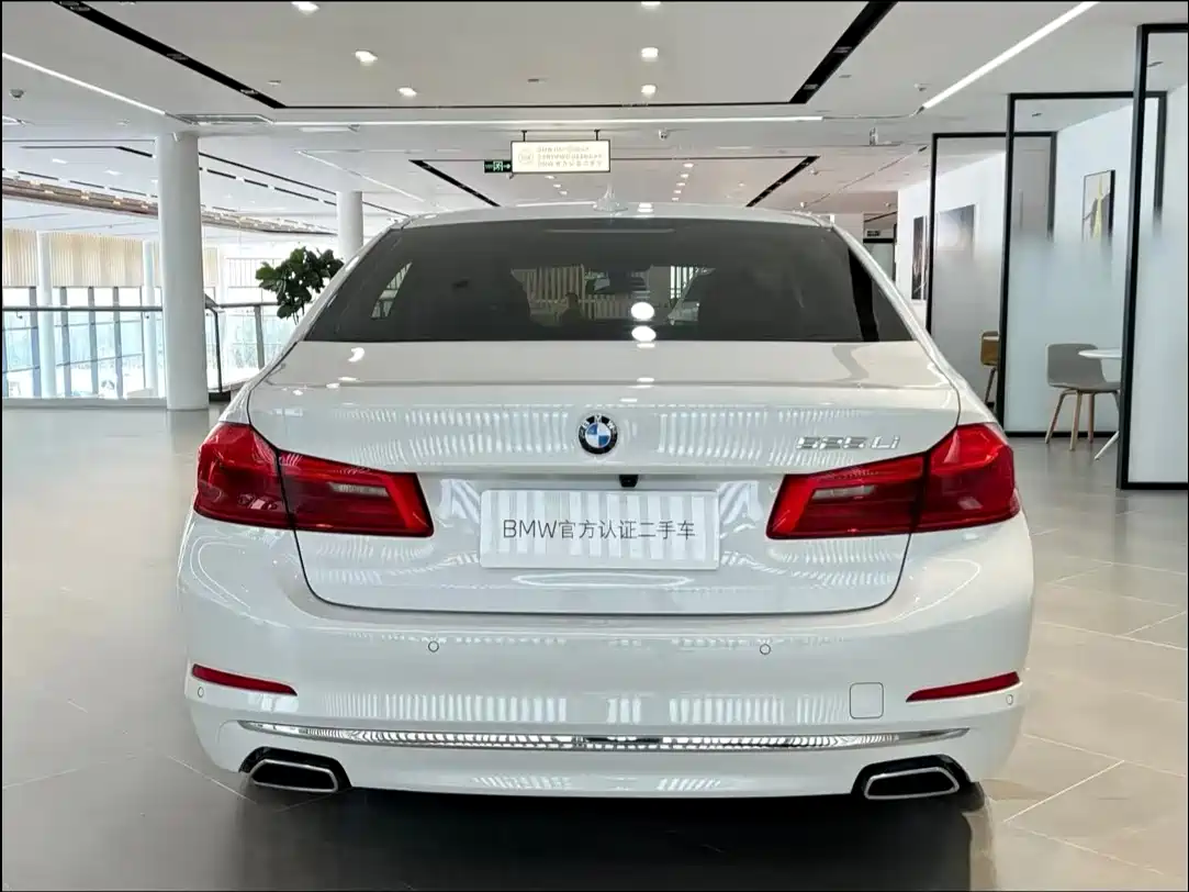 BMW 5 Series 2020 530Li Leading Luxury Package фото 7