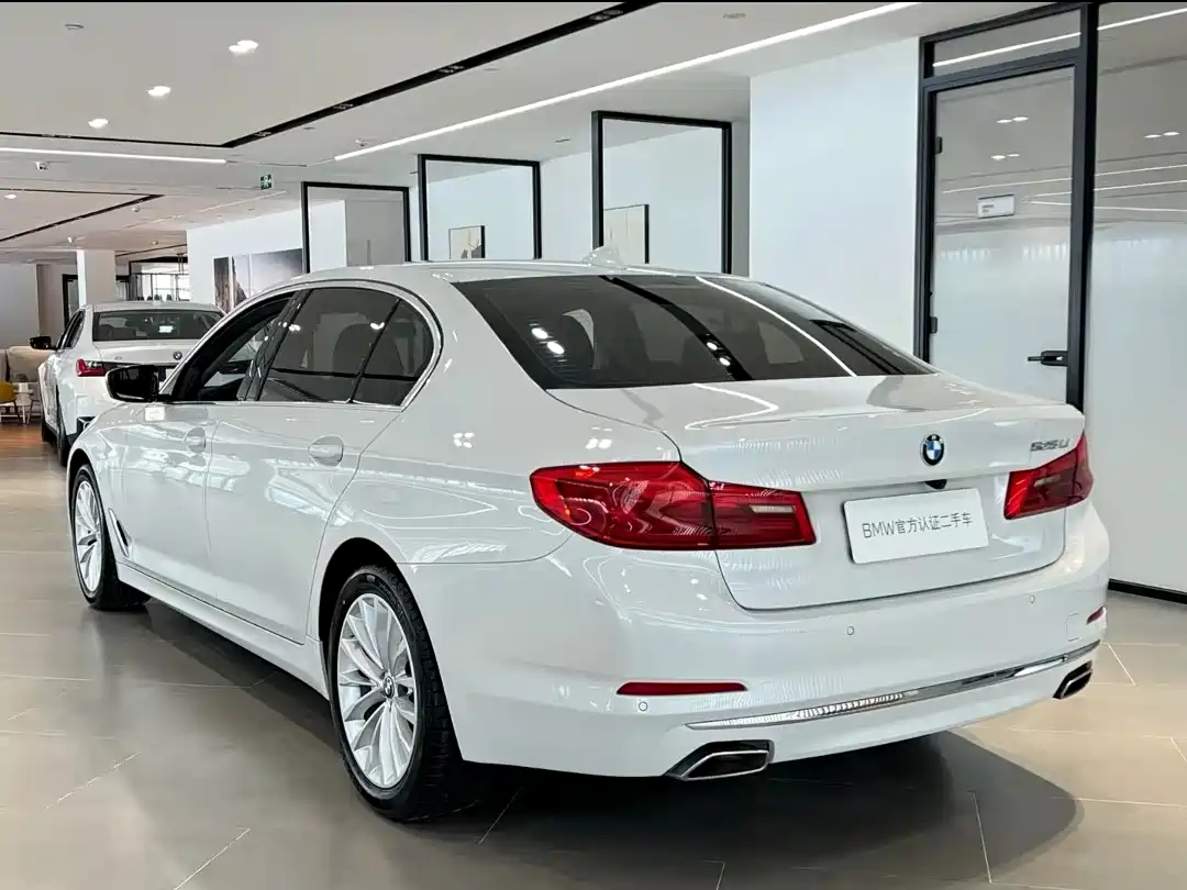 BMW 5 Series 2020 530Li Leading Luxury Package фото 9